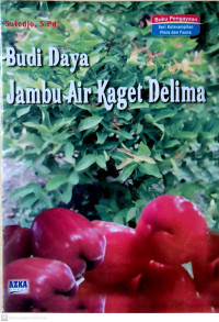 Image of Budi Daya Jambu Air Kaget Delima